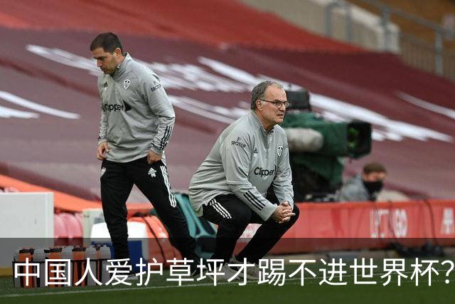 中国人爱护草坪才踢不进世界杯？老外意林令老中一脸问号