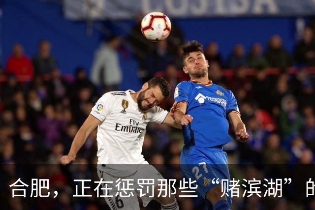 合肥，正在惩罚那些“赌滨湖”的人