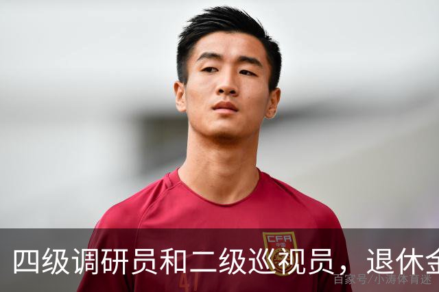 四级调研员和二级巡视员，退休金差多少？看完就懂