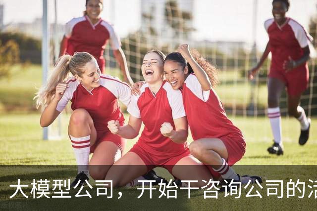 大模型公司，开始干咨询公司的活