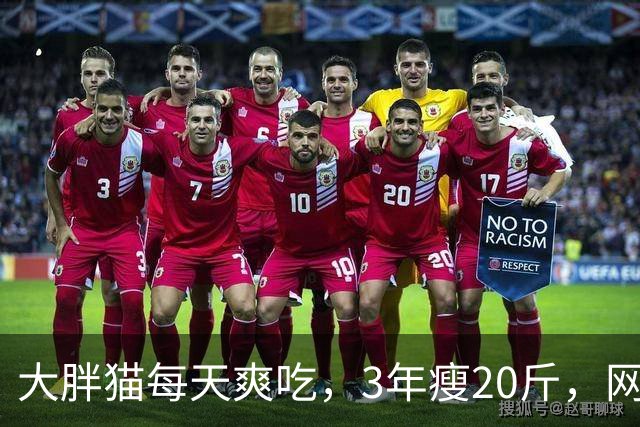 大胖猫每天爽吃，3年瘦20斤，网友：学到了！