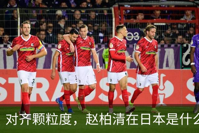 对齐颗粒度，赵柏清在日本是什么水平？