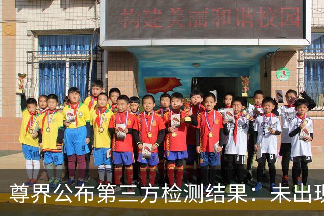 尊界公布第三方检测结果：未出现裂纹和损坏，符合行业标准