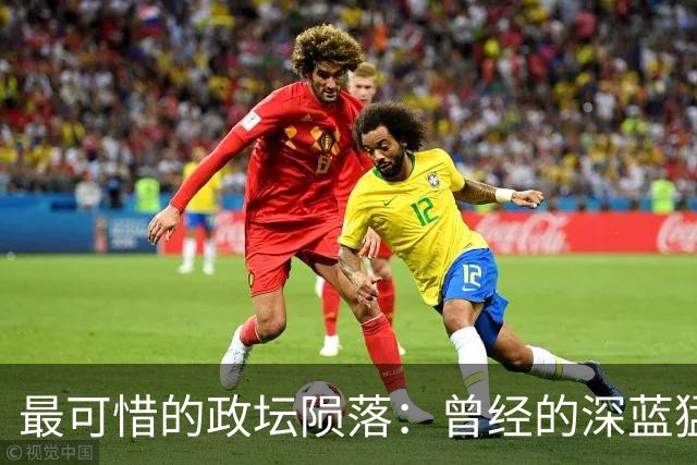 最可惜的政坛陨落：曾经的深蓝猛将，如今为何人心尽失？