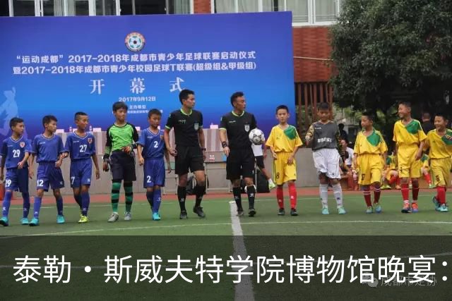 泰勒·斯威夫特学院博物馆晚宴：迪奥定制礼服与萧邦钻石