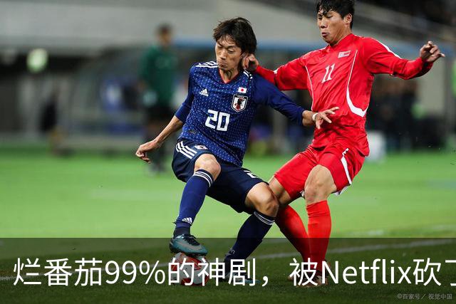 烂番茄99%的神剧，被Netflix砍了7年还在被催更