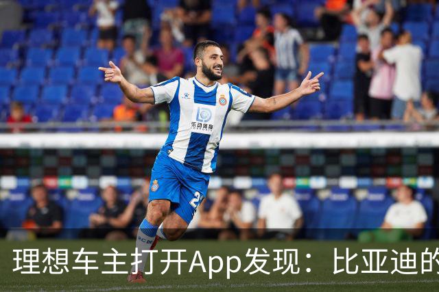 理想车主打开App发现：比亚迪的桩，成了自己的"长途靠山"