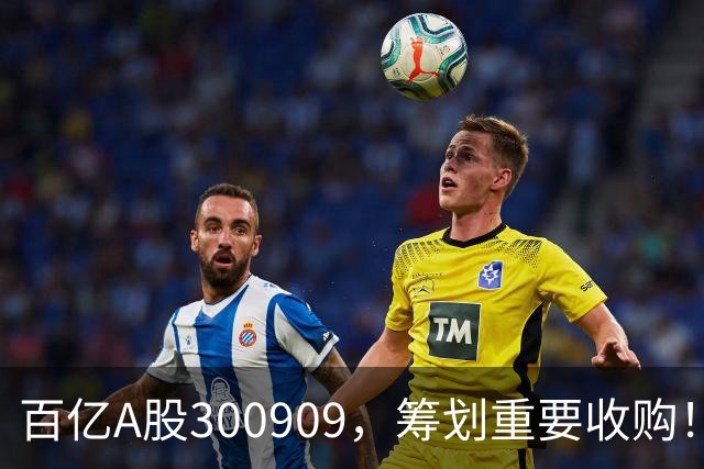 百亿A股300909，筹划重要收购！