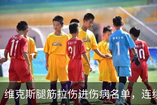 维克斯腿筋拉伤进伤病名单，连续三场5次以上目标