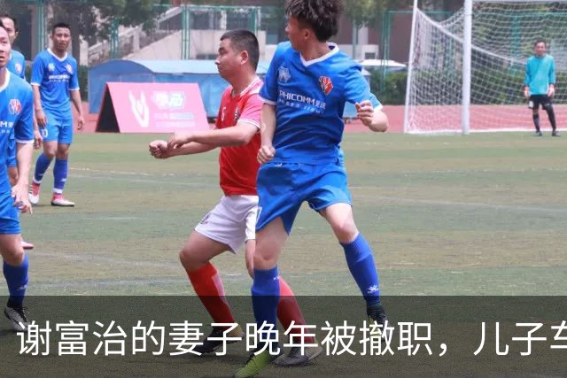 谢富治的妻子晚年被撤职，儿子车祸去世，女儿为她争取离休待遇