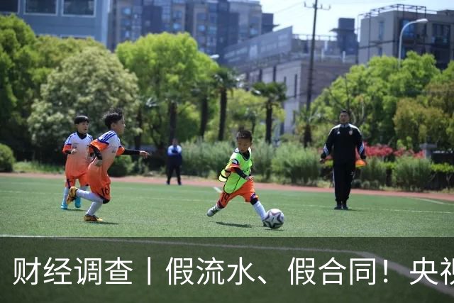 财经调查丨假流水、假合同！央视曝光“挂靠参保”骗取社保资金