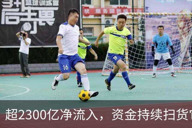 超2300亿净流入，资金持续扫货它们！高股息成亮点