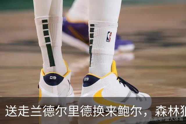 送走兰德尔里德换来鲍尔，森林狼季前赛5大悬念