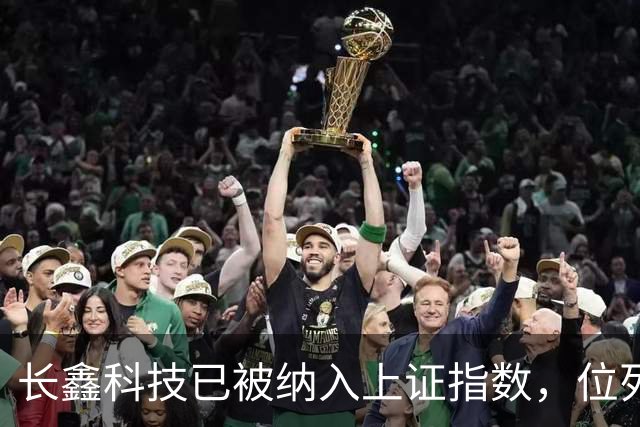 长鑫科技已被纳入上证指数，位列第一大权重股