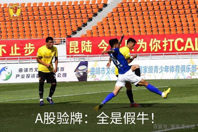 A股验牌：全是假牛！